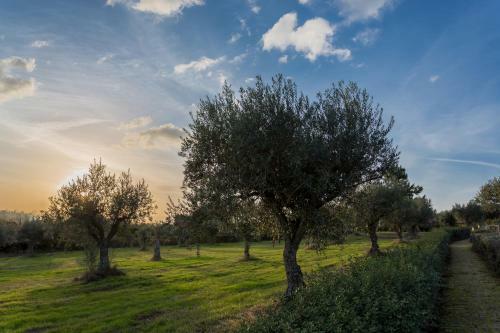 Agroturismo Quinta Do Ch�o Da Vinha