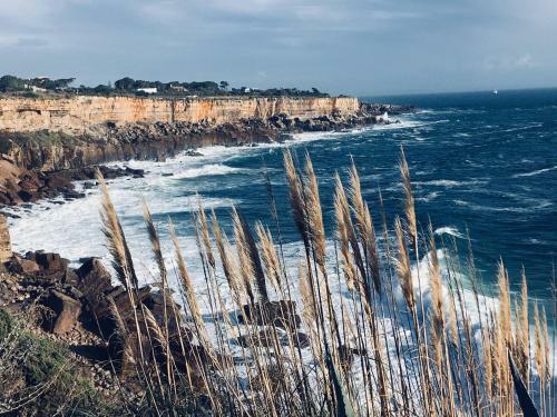 Apartamento Acqua De Cascais