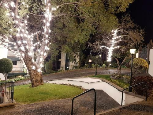 Apartamento Reids Gardens Luxury Flat In Madeira Island