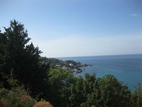 Apartamento Villa Violetta