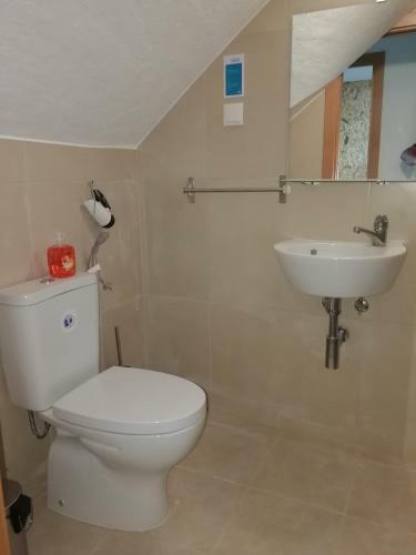Hostal Ocean's 7 - Lagos Guest House