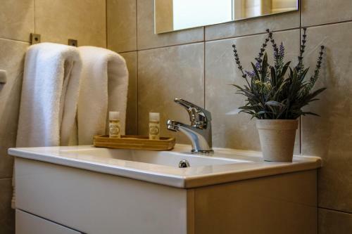 Apartamento Casas Da Av� Bia