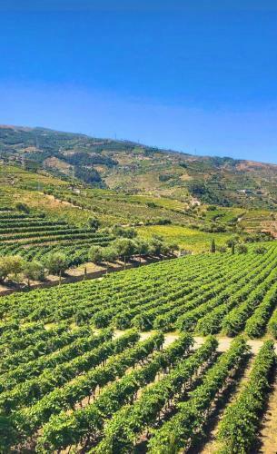 Agroturismo Quinta Da Salada - Turismo Rural
