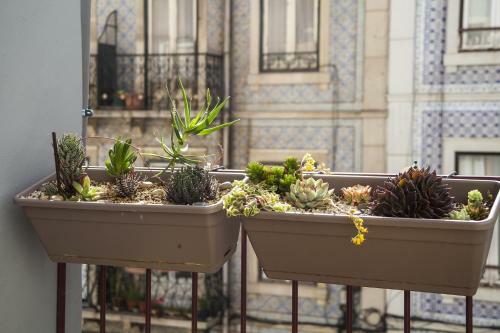 Albergue Lisbon Poets Inn
