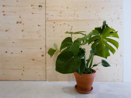 Apartamento Cozy Lisbon Gra�a