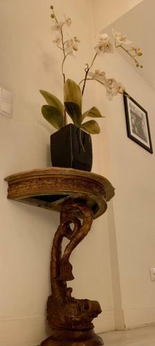 Apartamento Sunny S�o Paulo Home