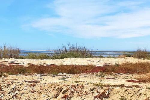 Apartment With 2 Bedrooms In Olhao With Wifi