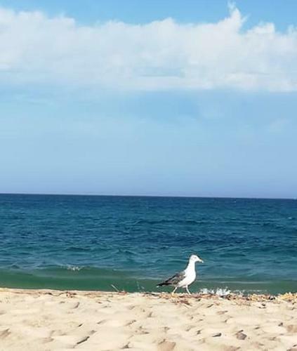 Apartment With 2 Bedrooms In Olhao With Wifi