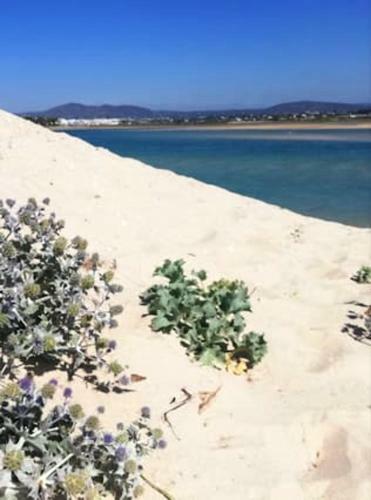 Apartment With 2 Bedrooms In Olhao With Wifi