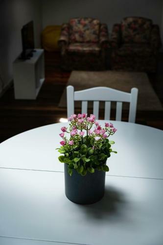 Bed & Breakfast Cc Guest House - "ao Mercado"