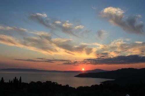 The Olive Grove Boutique Villas