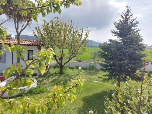 Apartamento Betahomes- Summer