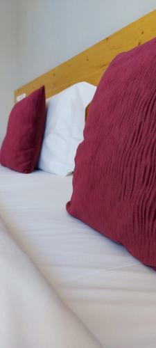 Indouro Hostel & Wine Bar