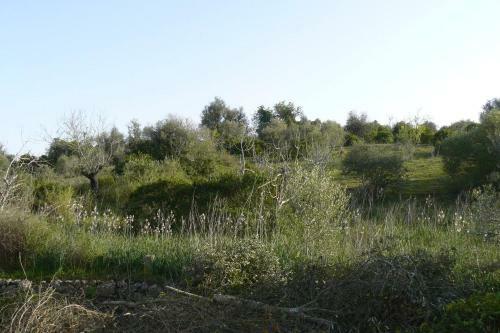 Charming Countryside 2-bed Apartment Pool Hotub
