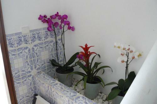 Charming Countryside 2-bed Apartment Pool Hotub
