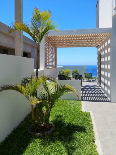 Ponta Do Sol Villa Sleeps 7