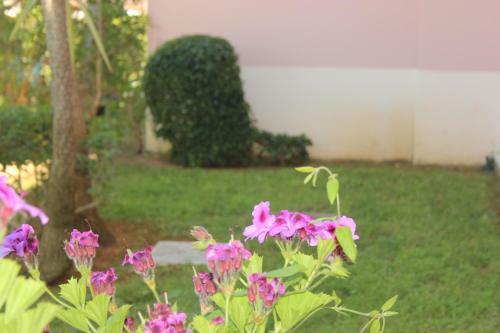 Apartamento Sweet Home -o�sis Parque