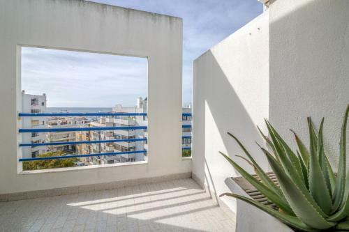 Apartamento Palmeira
