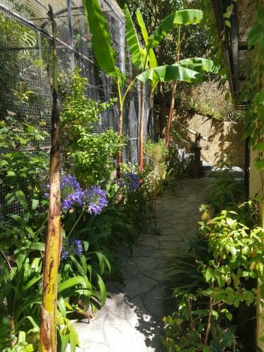 Hostal Dazk Golden Estate