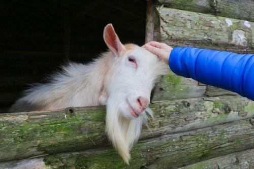 Agroturismo Sete Cidades Quinta Da Queir�