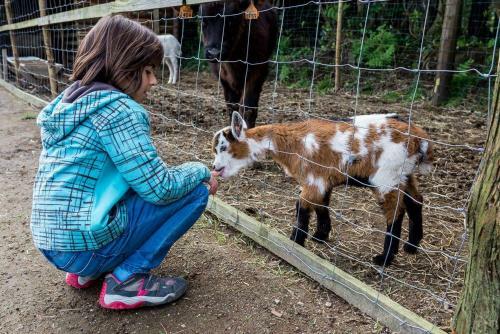 Agroturismo Sete Cidades Quinta Da Queir�