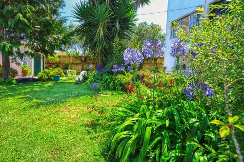 Bed & Breakfast Lugar Saloio Sintra