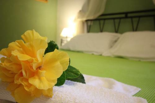 Hostal Morpheas Pension Rooms & Apartments
