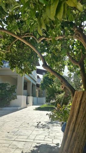 Apartamento Villa Miranda