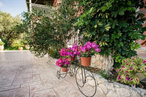 Apartamento Maria Studios