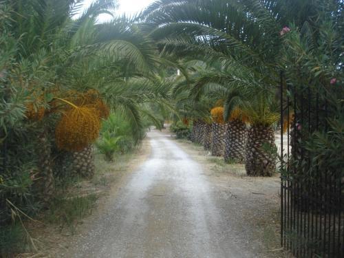 Apartamento Villa Theodora