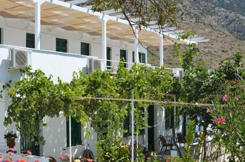 Hostal Oasis