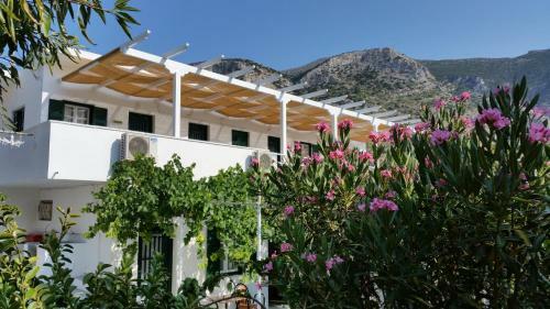 Hostal Oasis