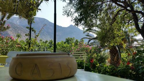 Hostal Oasis