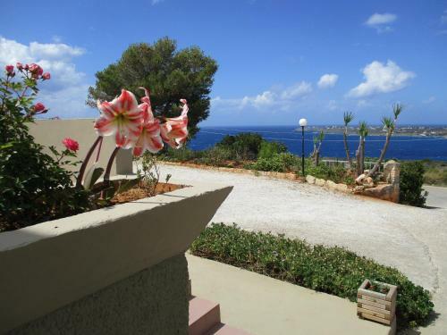 Apartamento Theodosia Studios