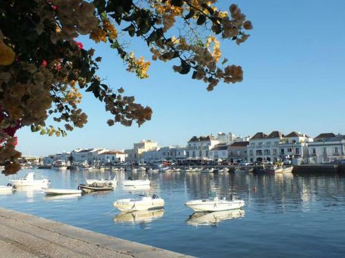 Beautiful Town Centre Apartment With Shared Pool