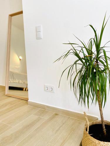 Pure Fonte Velha B&B
