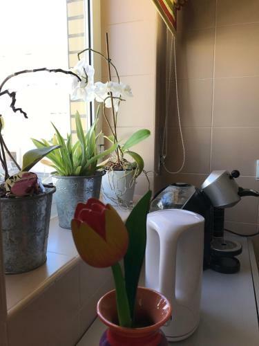 Apartamento Varandas Da Sandia