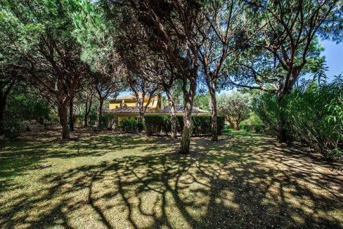 Quinta Do Lago Villa Sleeps 8 Pool Air Con T480398