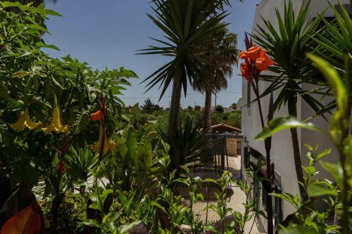 Algarve 4 Bedroom Villa