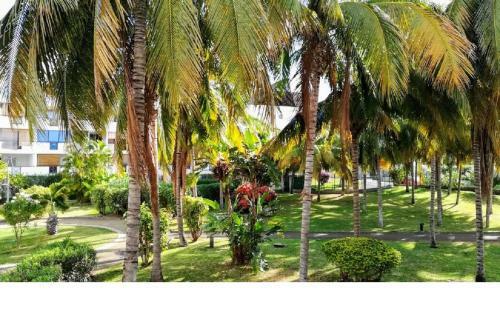 Apartamento Le Ceylan