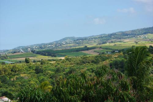 Capucine Les Hauts