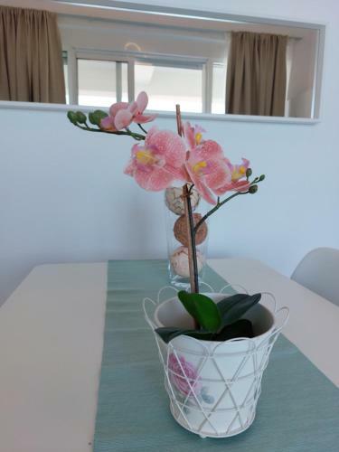 Nefeli Apartments Halkidiki