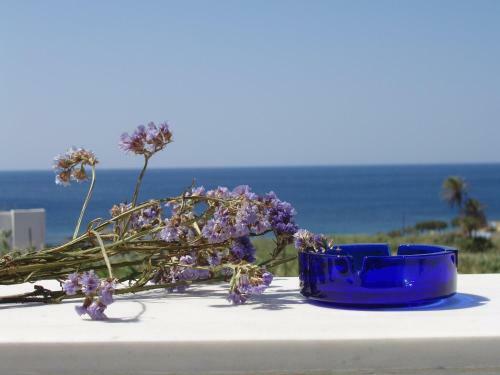 Apartamento Parathyro Sto Aigaio 1