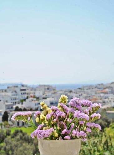 Hostal Filoxenia