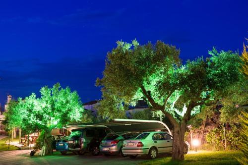 Apartamento Akrathos Houses