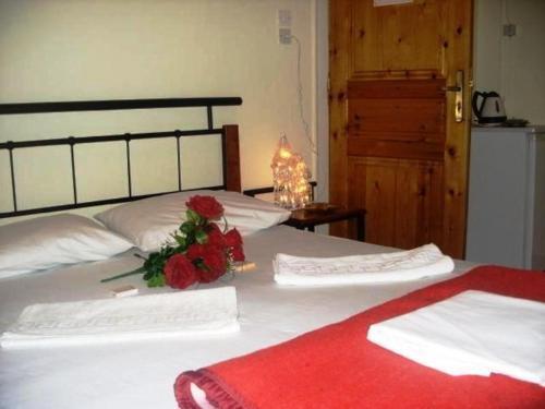 Hostal Rooms 47