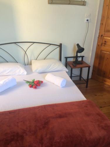Hostal Rooms 47