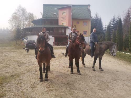 Hotel Wolves Inn , Hanul Lupilor