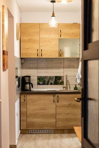 Apartamento Studio Aries Postavarului