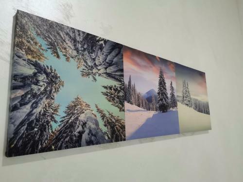 Apartamento Comfort Suite Alessia Brasov